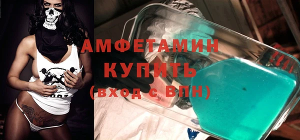 молекула духа Няндома