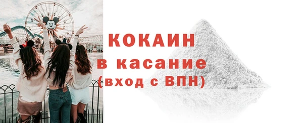 молекула духа Няндома